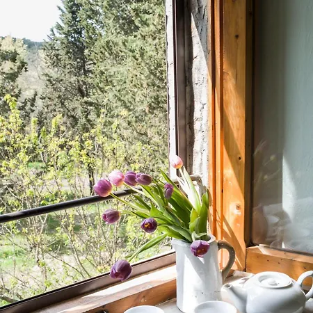 בית חווה I Pianelli